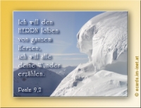 Neu