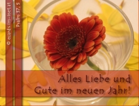 Neu