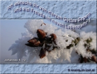 Neu