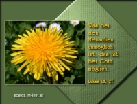 Bibelvers