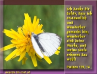 Bibelvers