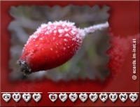 Neu