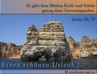 Neu