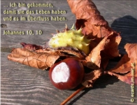 Neu
