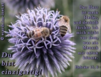 Neuutschein