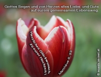 Neu
