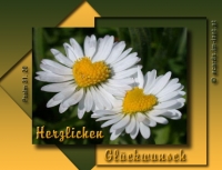 Neu