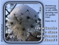 Neu