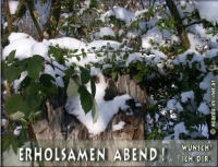 Neu