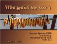 Neu