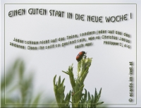 Neu