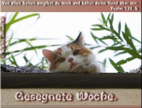 Neu