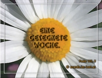 Neu