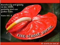 Neu