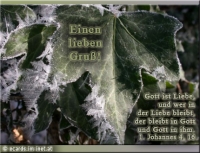 Neu