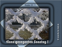 Neu