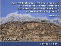 Neu