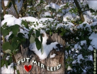 Neu