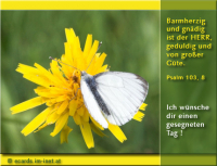 Sonntagsgruß