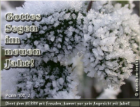 Neujahrsgruß