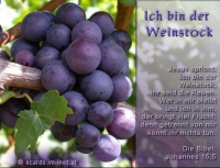 Jesus spricht: Ich bin ...