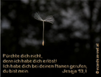 Bibelverse > Neues Leben..