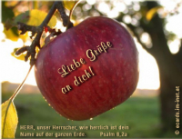 Herbstgruß